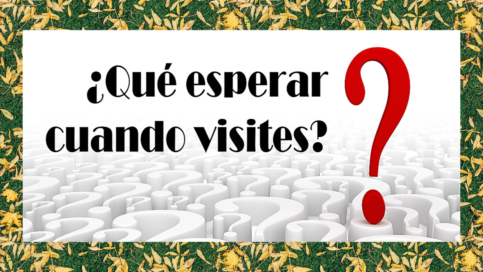 Cómo Se Dice Chuches En Inglés